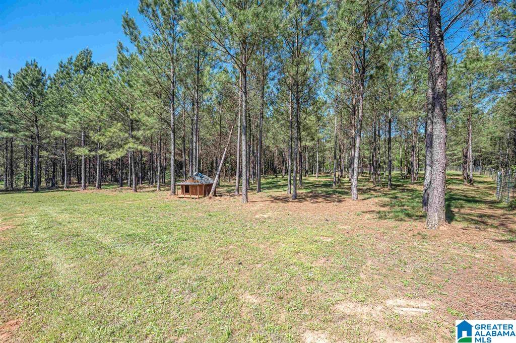 Homes for sale in Cropwell, AL | 1150 Camp Creek Road, Cropwell, AL 35054 | MLS# 21439261