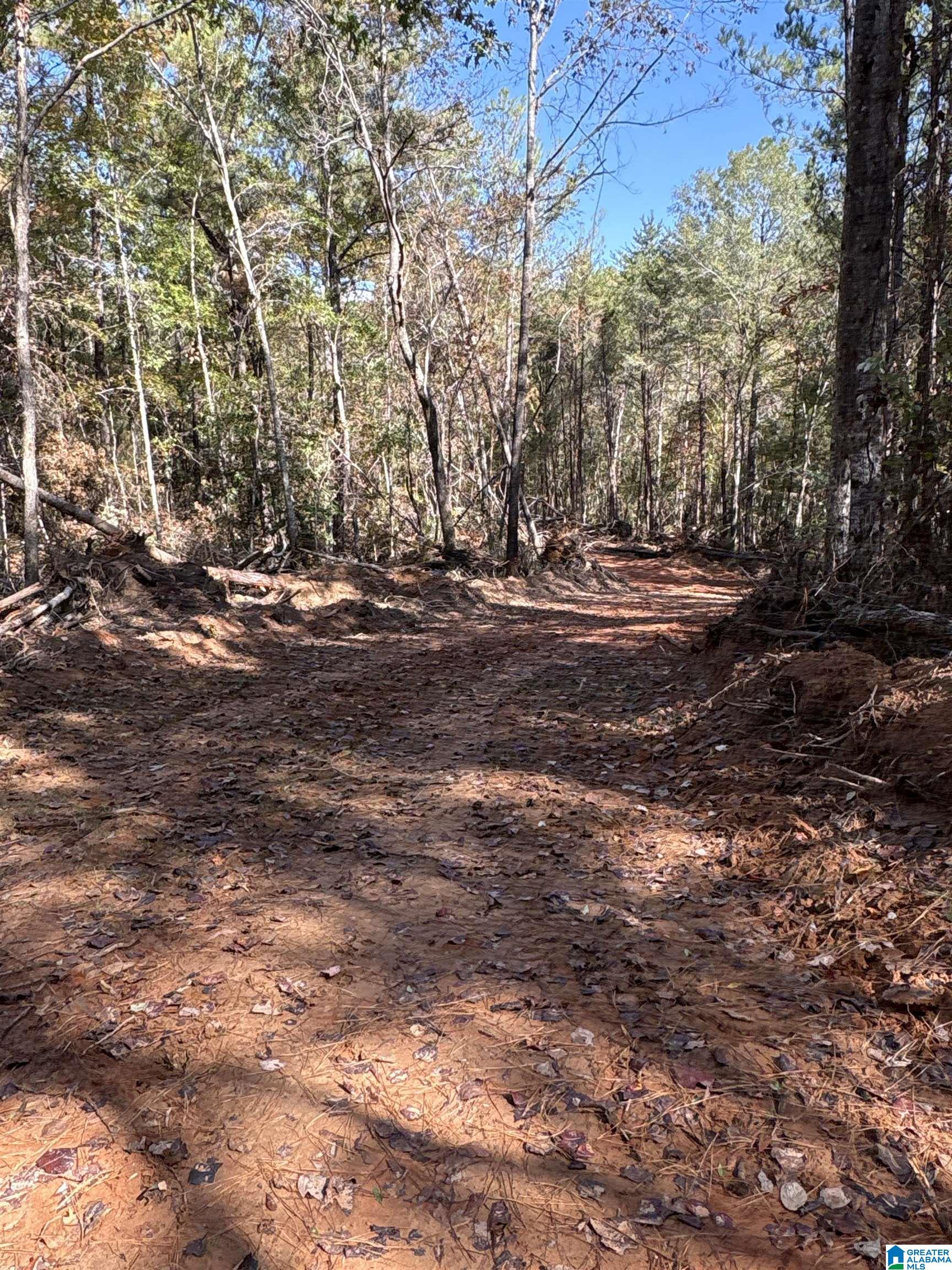 Homes for sale in West Blocton, AL | 0 County Road 9, West Blocton, AL 35184 | MLS# 21439274