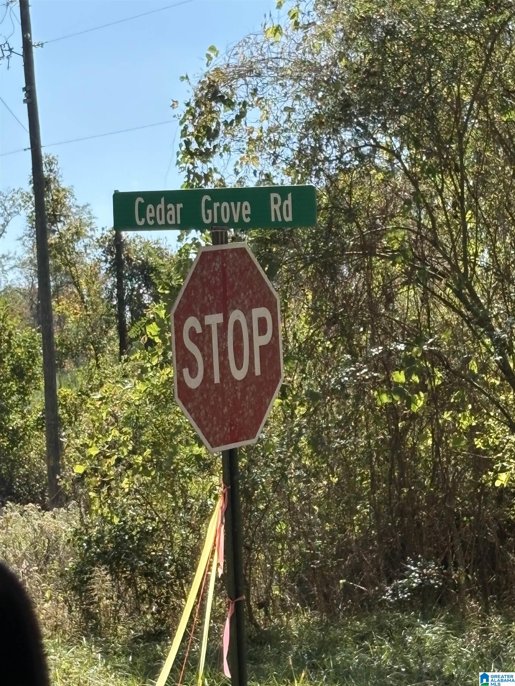 Homes for sale in West Blocton, AL | 0 County Road 9, West Blocton, AL 35184 | MLS# 21439274