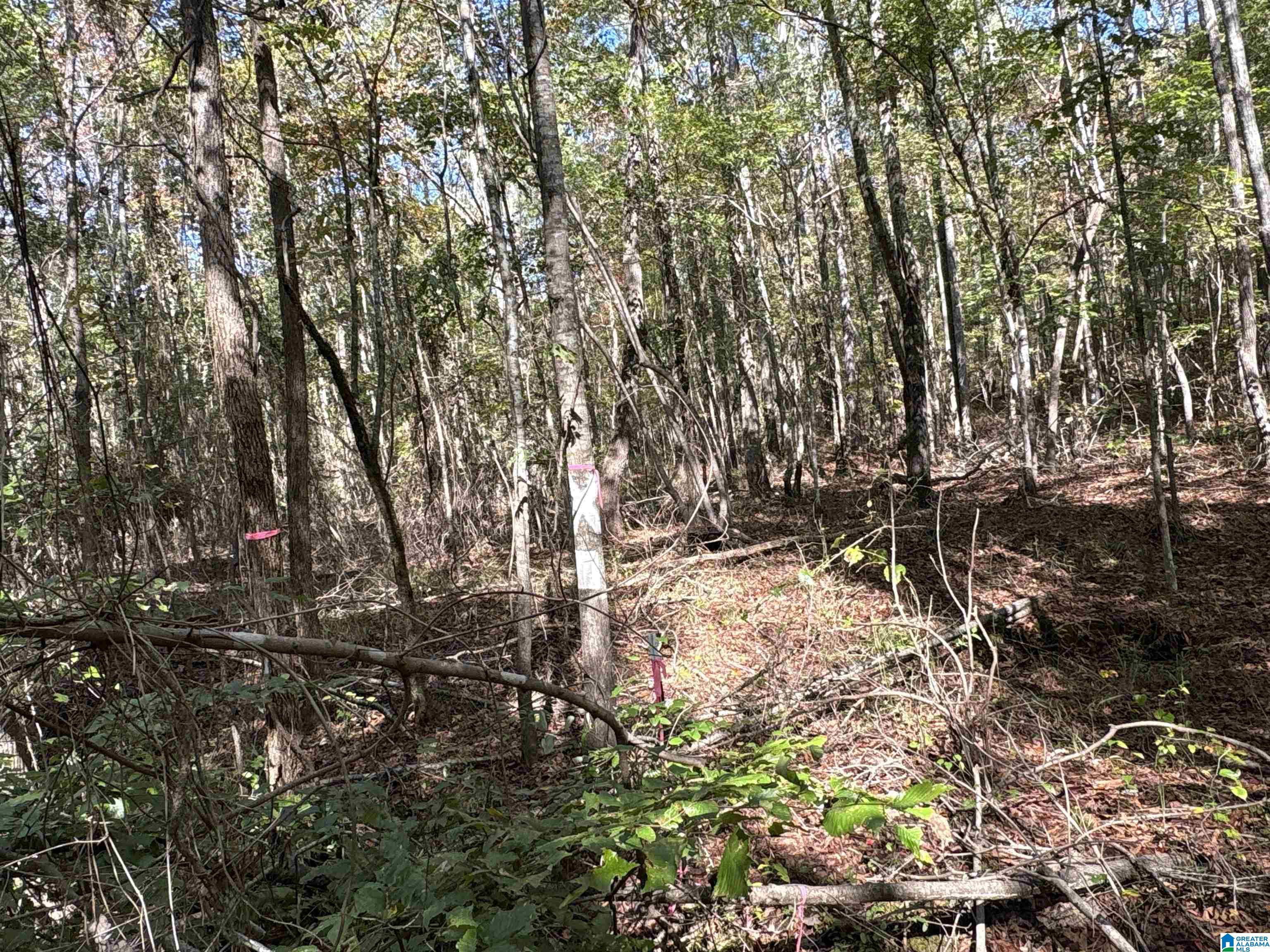 Homes for sale in West Blocton, AL | 0 County Road 9, West Blocton, AL 35184 | MLS# 21439274