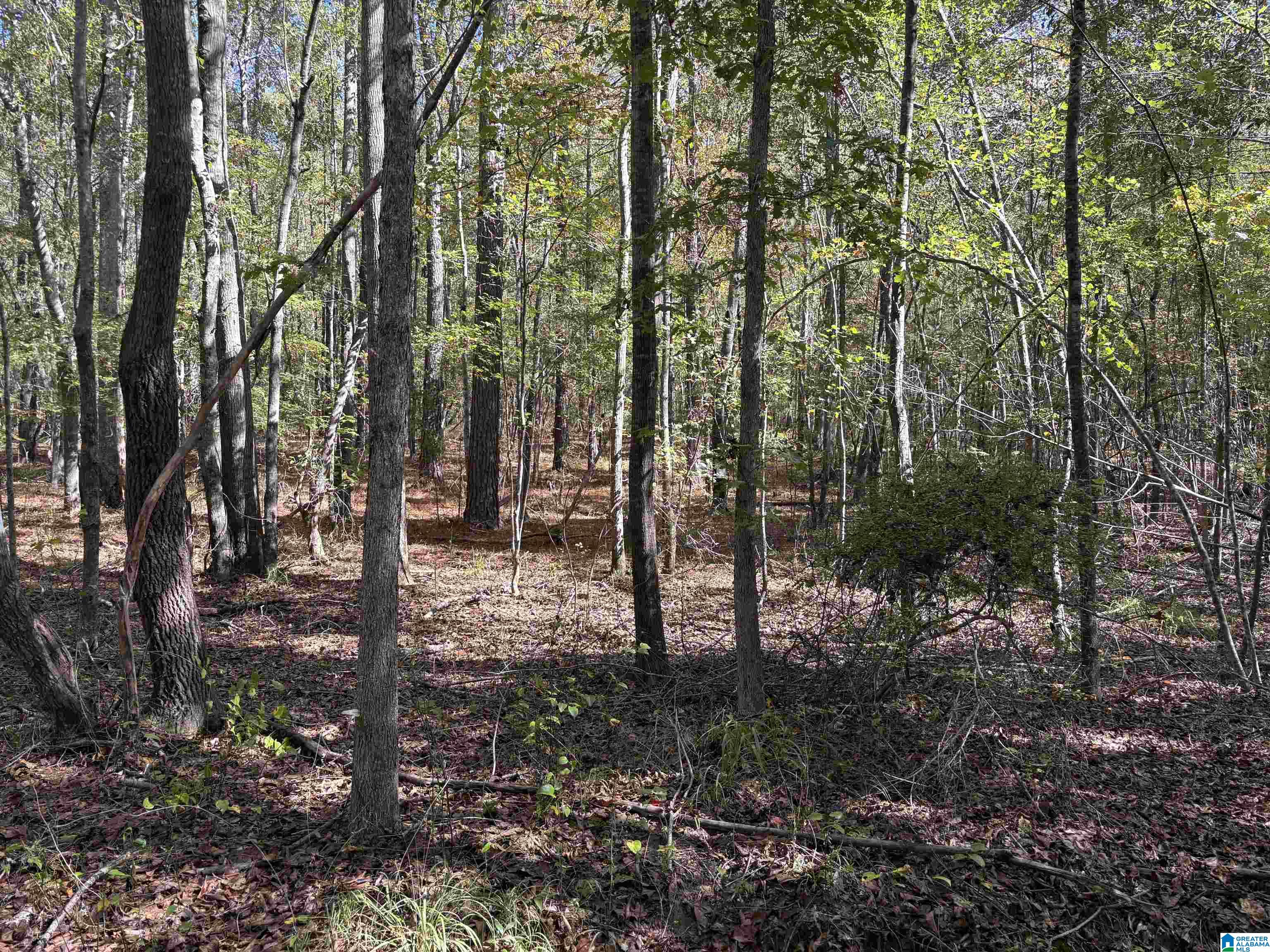 Homes for sale in West Blocton, AL | 0 County Road 9, West Blocton, AL 35184 | MLS# 21439274