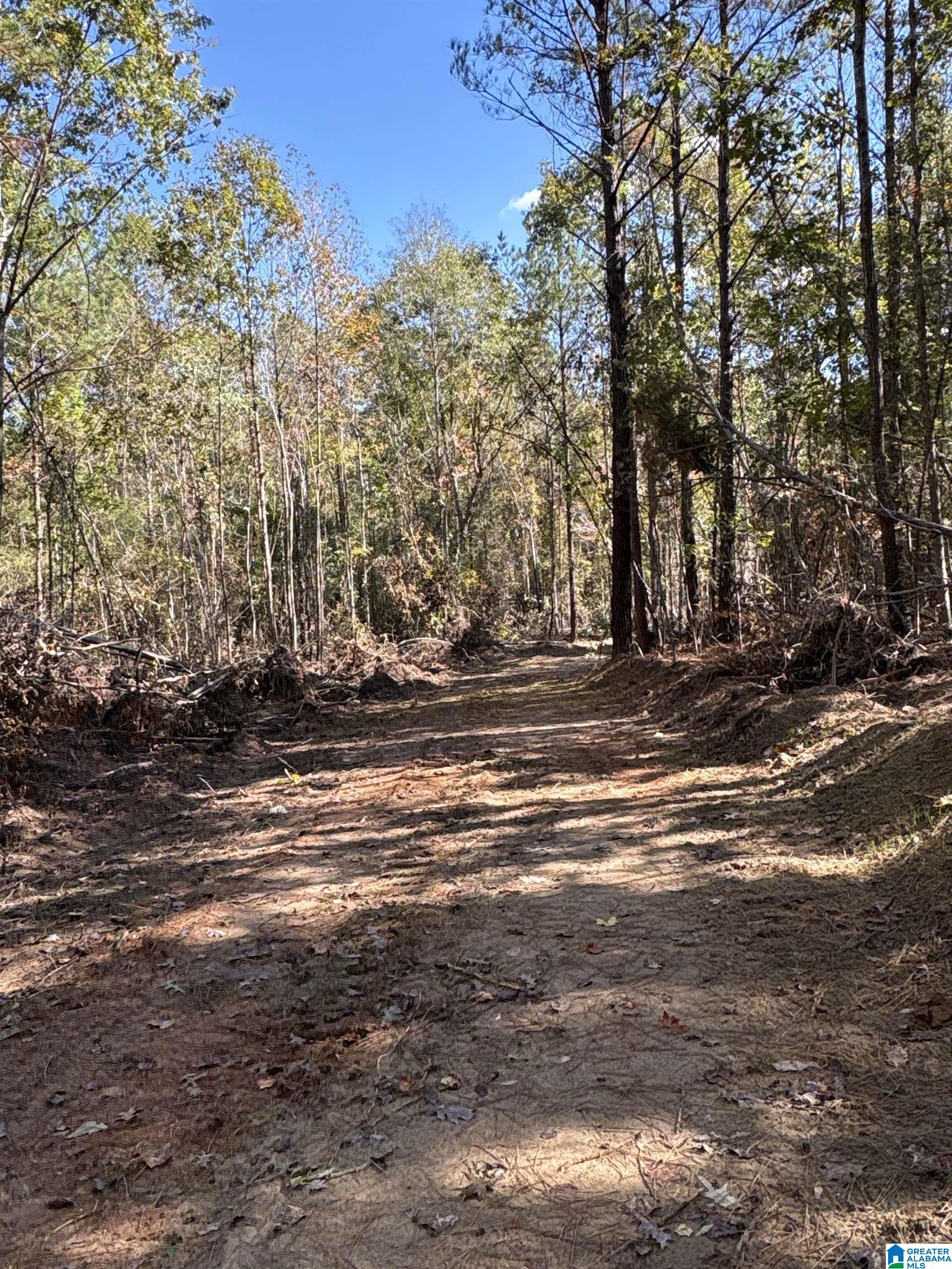 Homes for sale in West Blocton, AL | 0 County Road 9, West Blocton, AL 35184 | MLS# 21439274