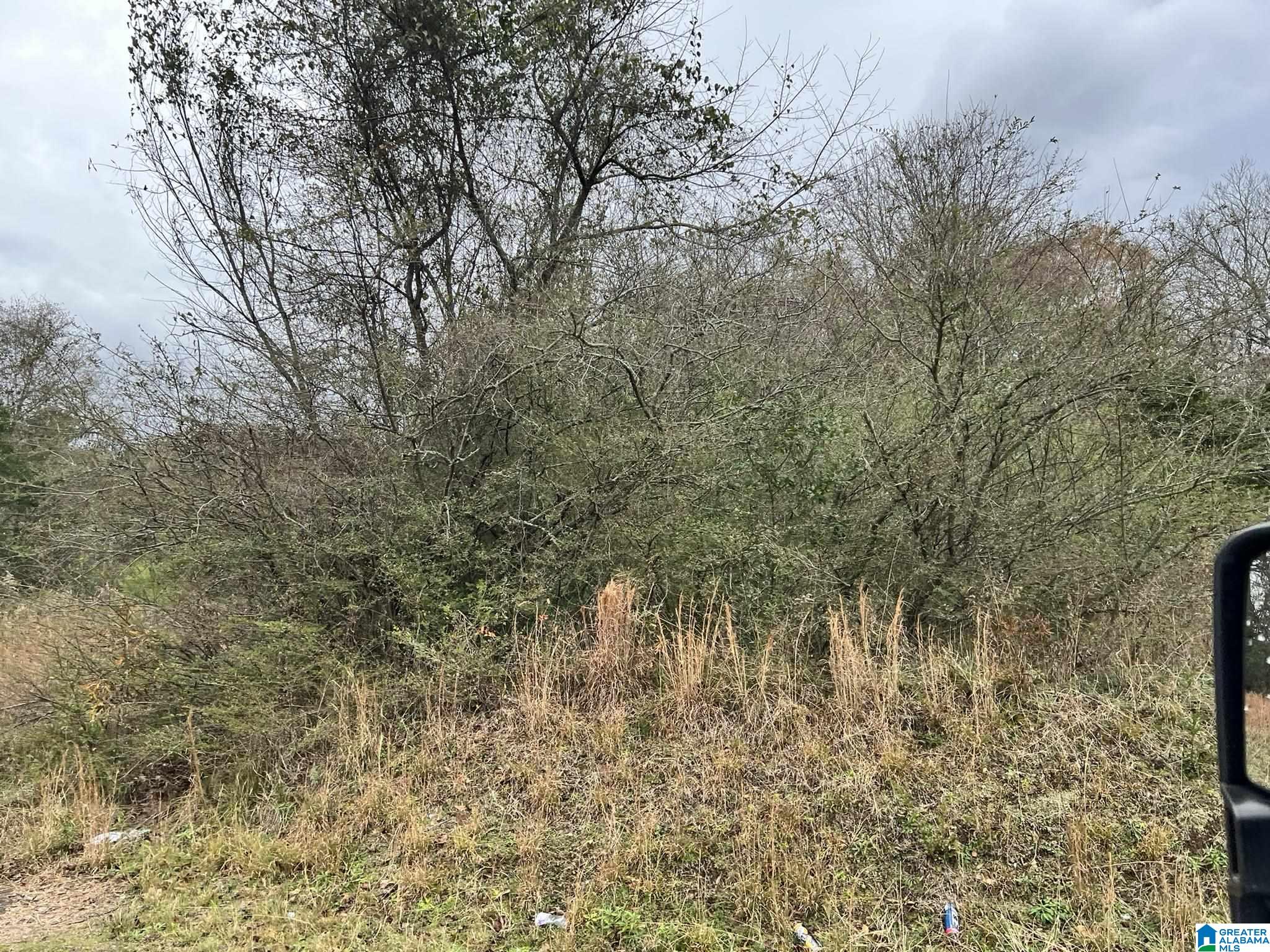 Homes for sale in Anniston, AL | Front Street, Anniston, AL 36201 | MLS# 21439275