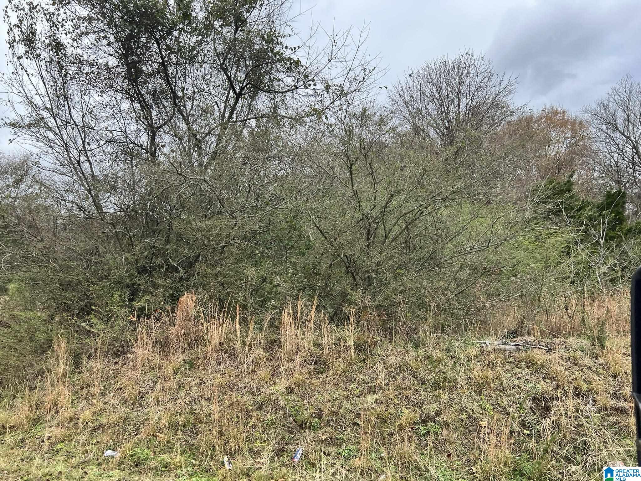 Homes for sale in Anniston, AL | Front Street, Anniston, AL 36201 | MLS# 21439275