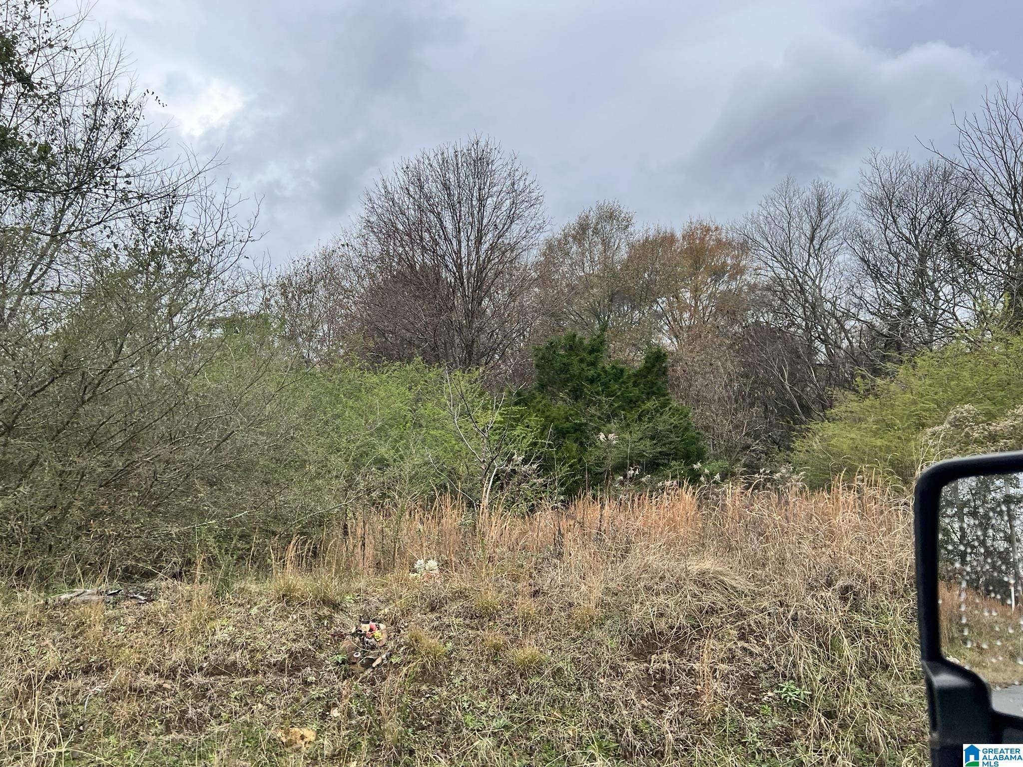 Homes for sale in Anniston, AL | Front Street, Anniston, AL 36201 | MLS# 21439275