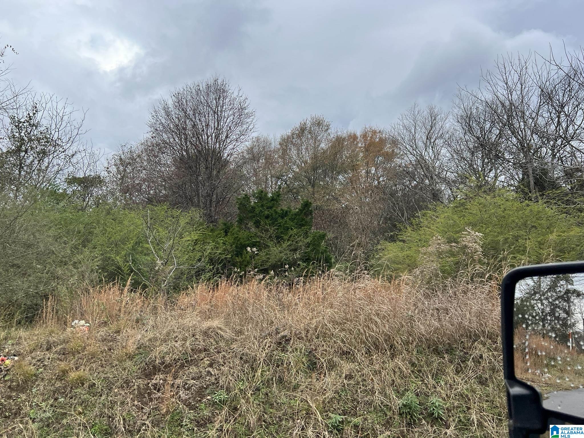 Homes for sale in Anniston, AL | Front Street, Anniston, AL 36201 | MLS# 21439275