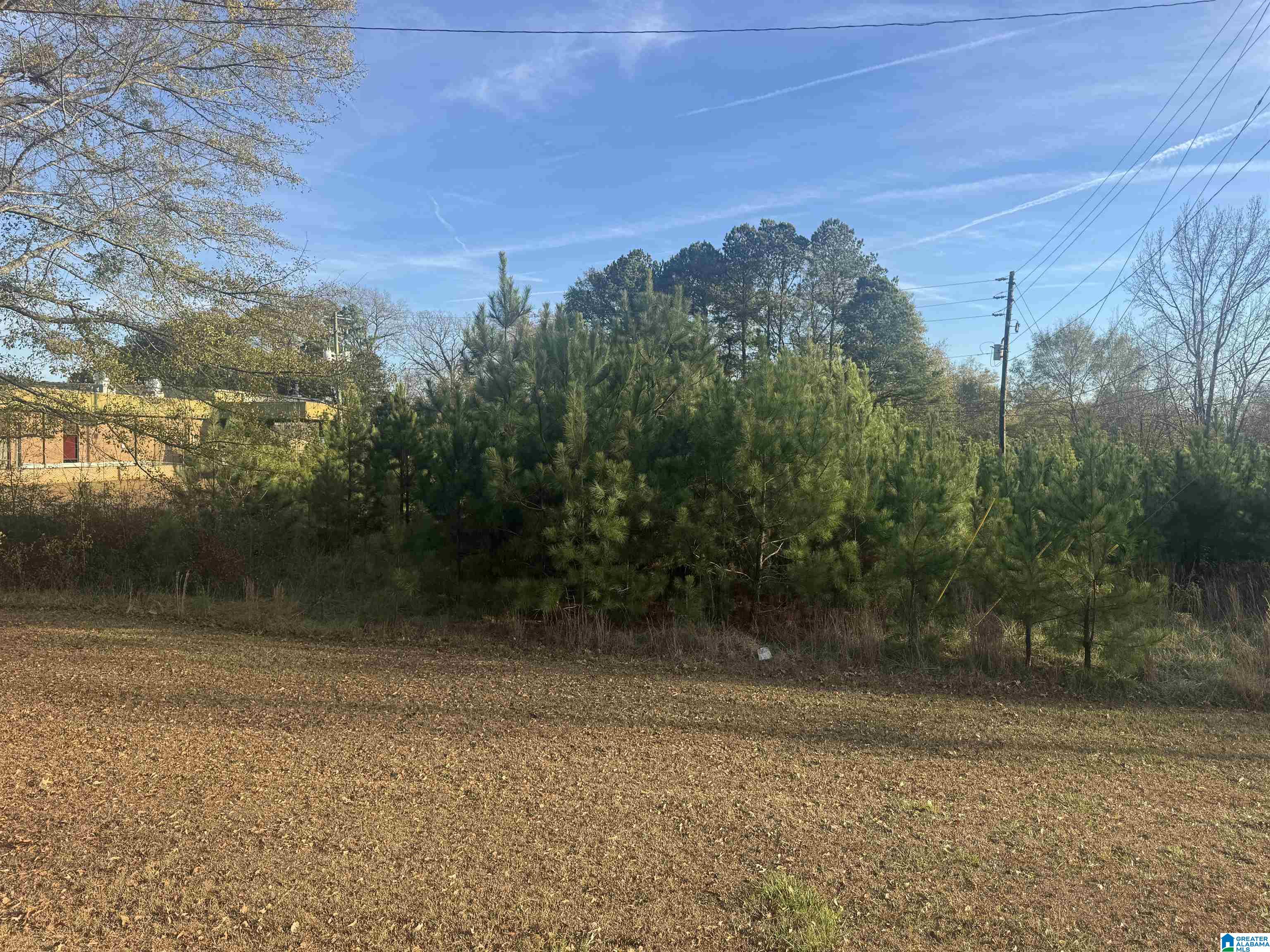 Homes for sale in Oxford, AL | 0 Hwy 78 W, Oxford, AL 36203 | MLS# 21439280