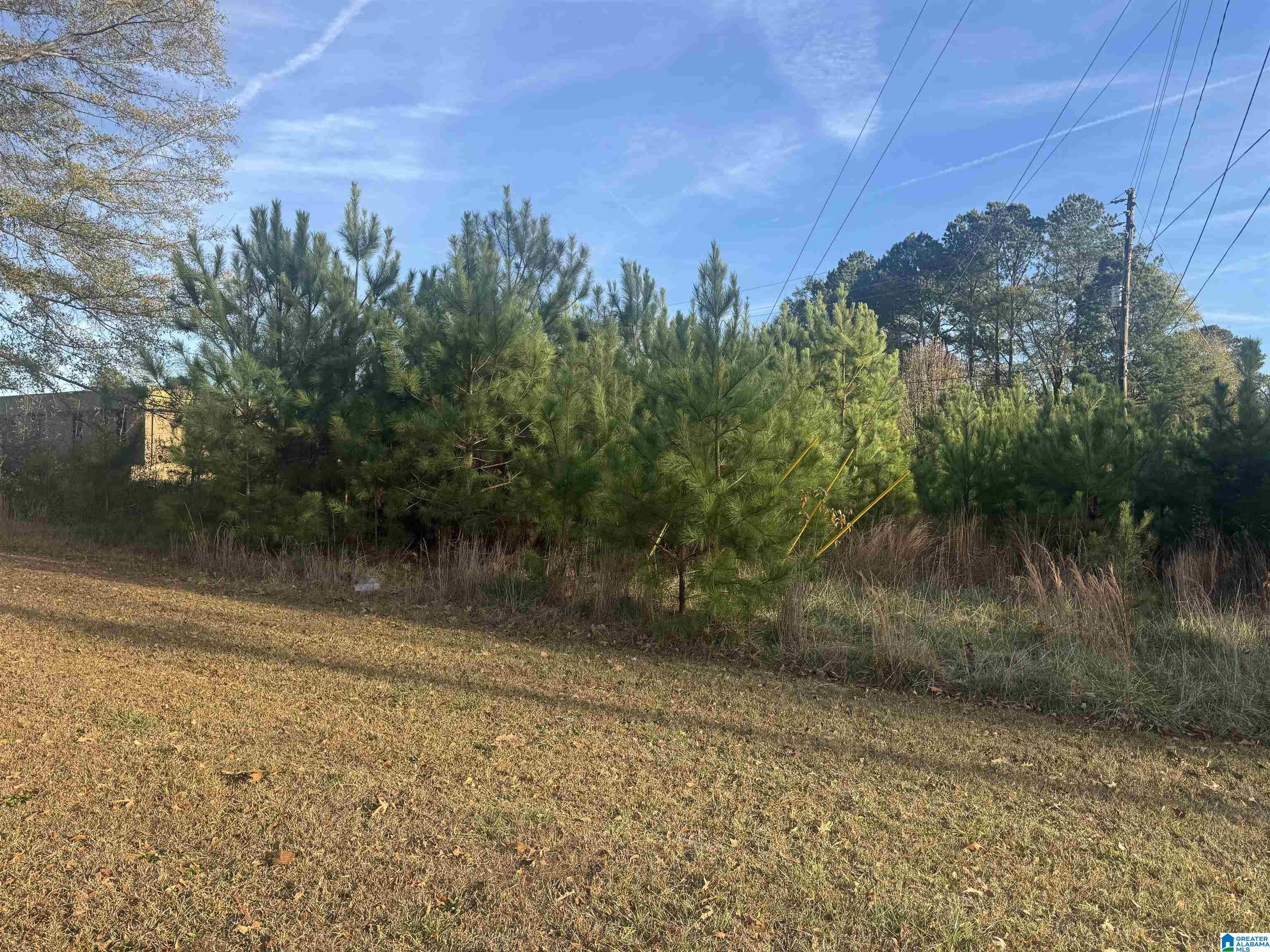 Homes for sale in Oxford, AL | 0 Hwy 78 W, Oxford, AL 36203 | MLS# 21439280