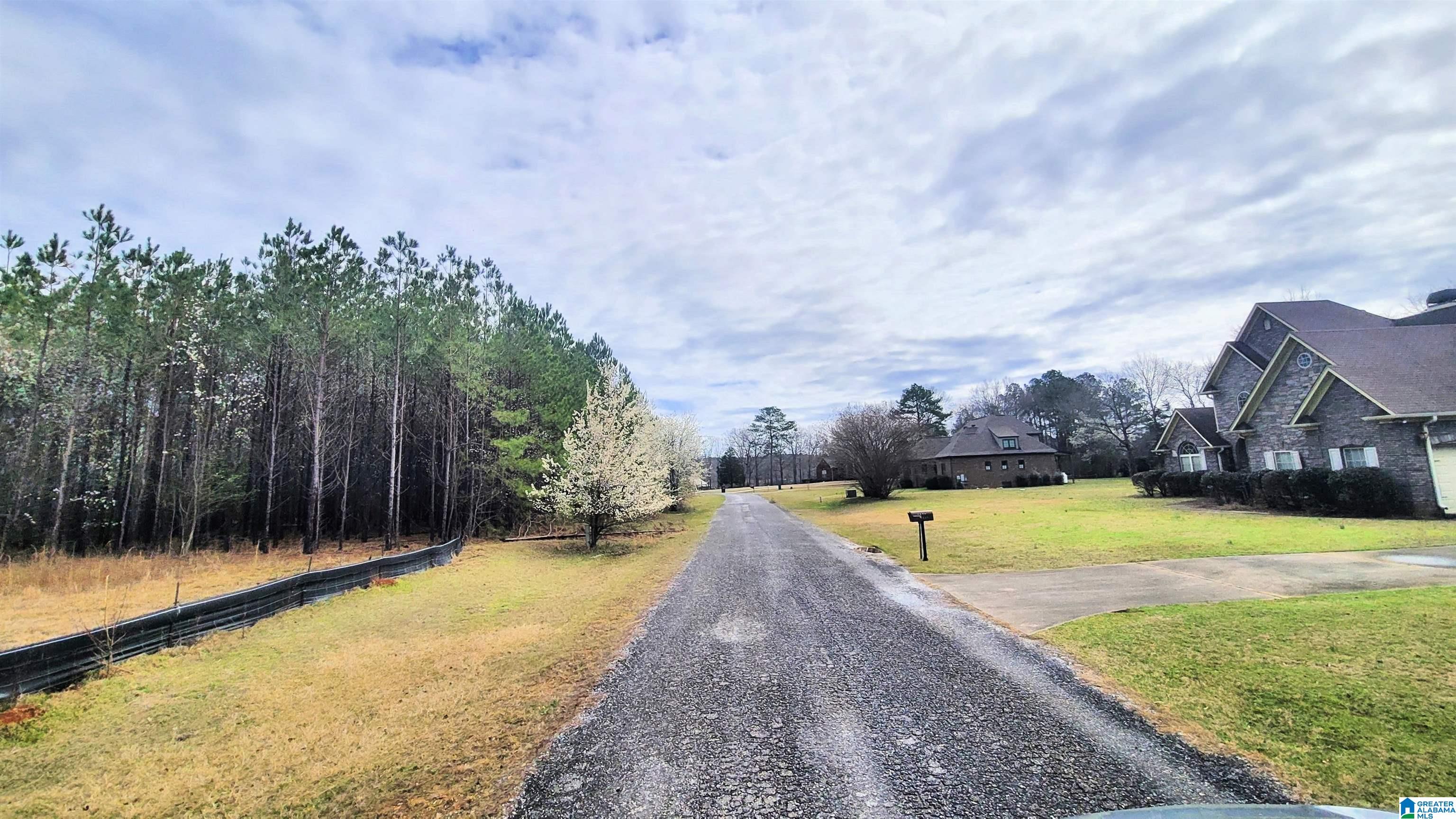 Homes for sale in Harpersville, AL | 0 Chancellors Ferry Loop, Harpersville, AL 35078 | MLS# 21439339