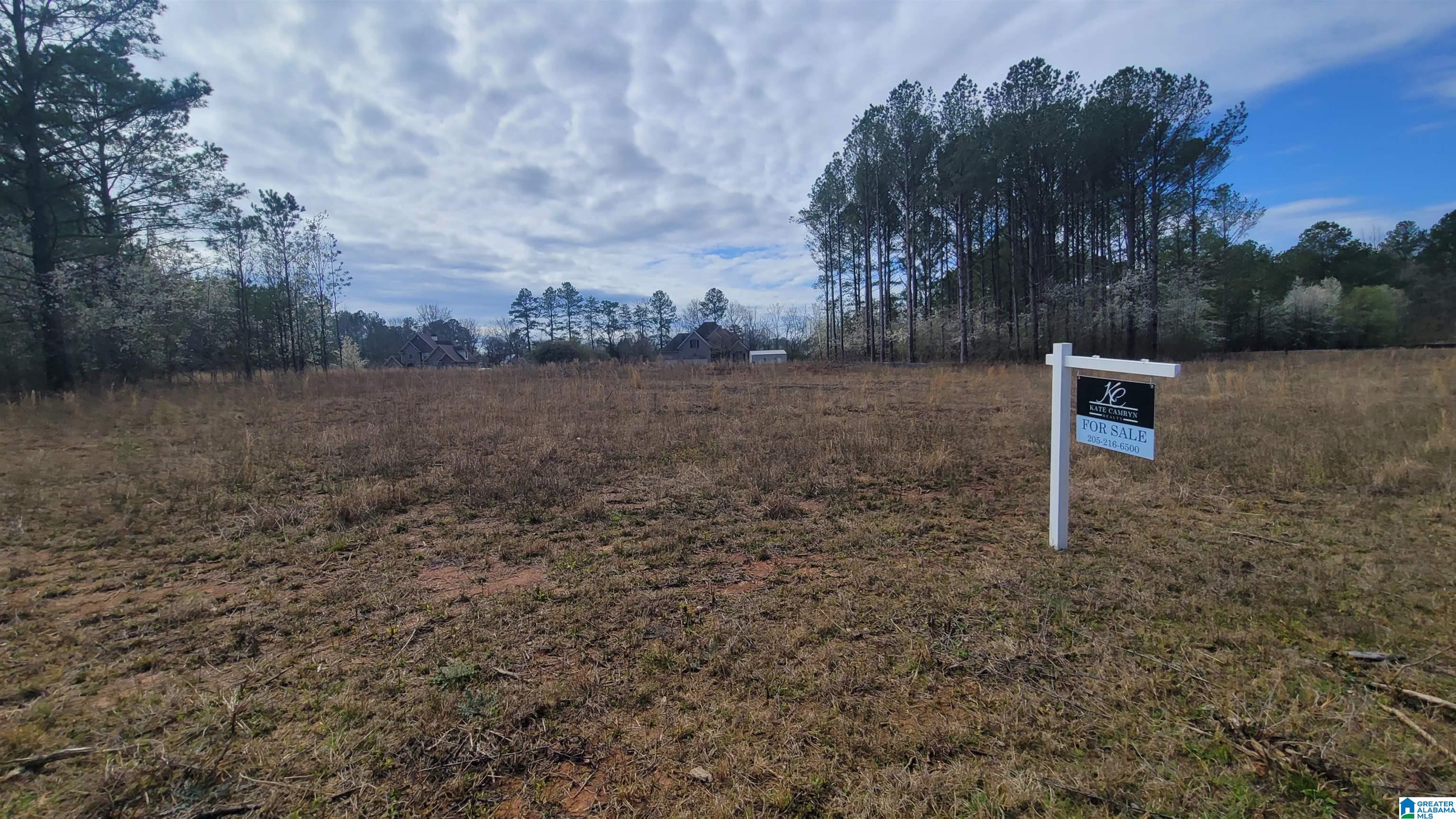 Homes for sale in Harpersville, AL | 0 Chancellors Ferry Loop, Harpersville, AL 35078 | MLS# 21439339