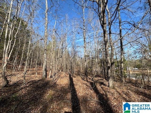 Homes for sale in Jacksonville, AL | 481 Angel Dr N, Jacksonville, AL 36265 | MLS# 21439384