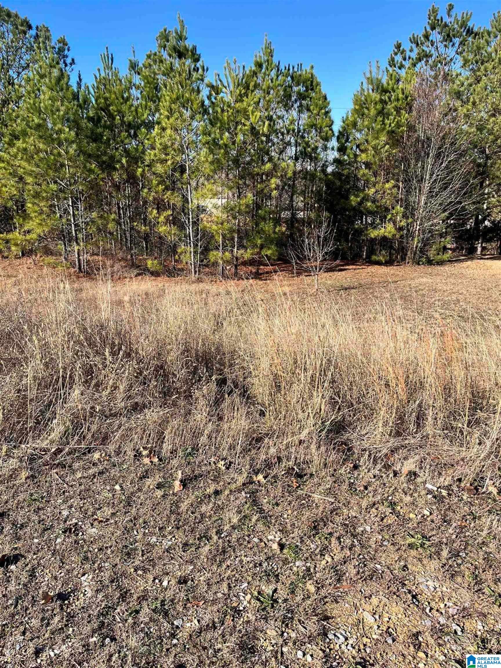 Homes for sale in Calera, AL | 829 Waterford Cove Lane, Calera, AL 35040 | MLS# 21439419