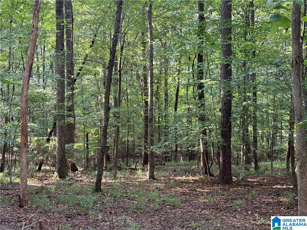 Homes for sale in Mccalla, AL | 0 Bridewell Circle, Mccalla, AL 35111 | MLS# 21439438