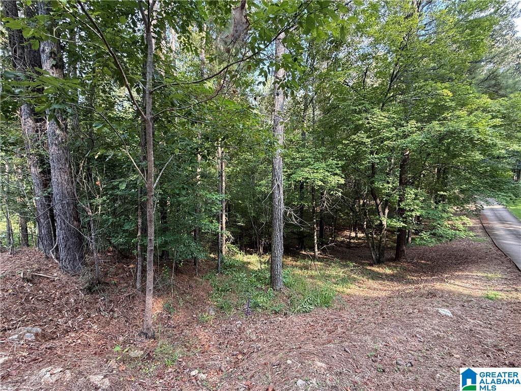 Homes for sale in Mccalla, AL | 0 Bridewell Circle, Mccalla, AL 35111 | MLS# 21439438