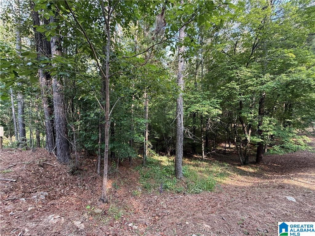 Homes for sale in Mccalla, AL | 0 Bridewell Circle, Mccalla, AL 35111 | MLS# 21439438