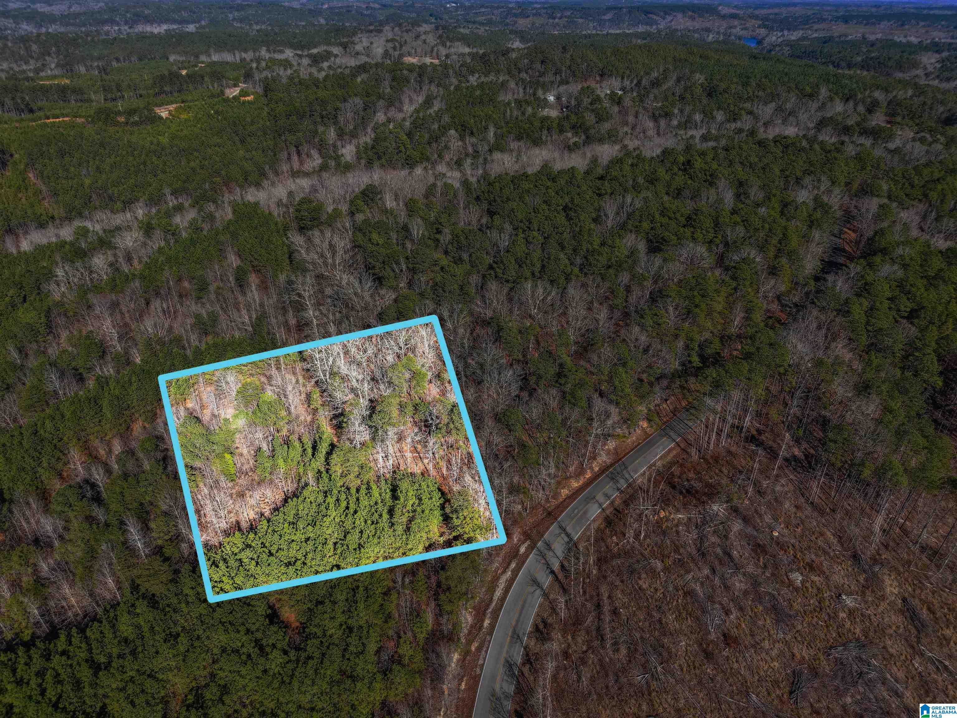 Homes for sale in Adger, AL | 15065 Lock 17 Road, Adger, AL 35006 | MLS# 21439571