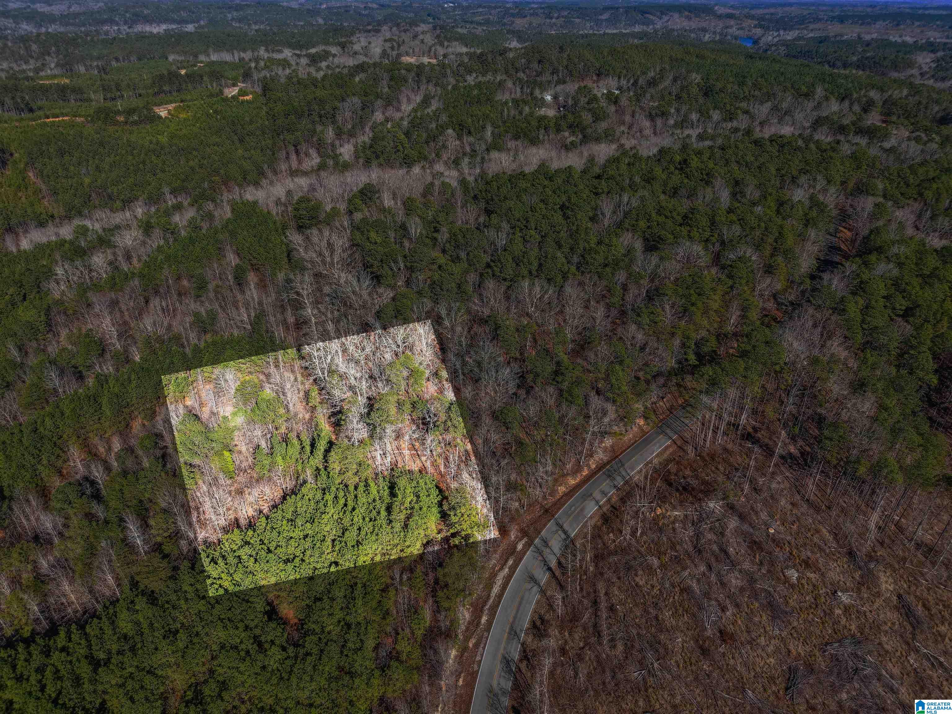 Homes for sale in Adger, AL | 15065 Lock 17 Road, Adger, AL 35006 | MLS# 21439571