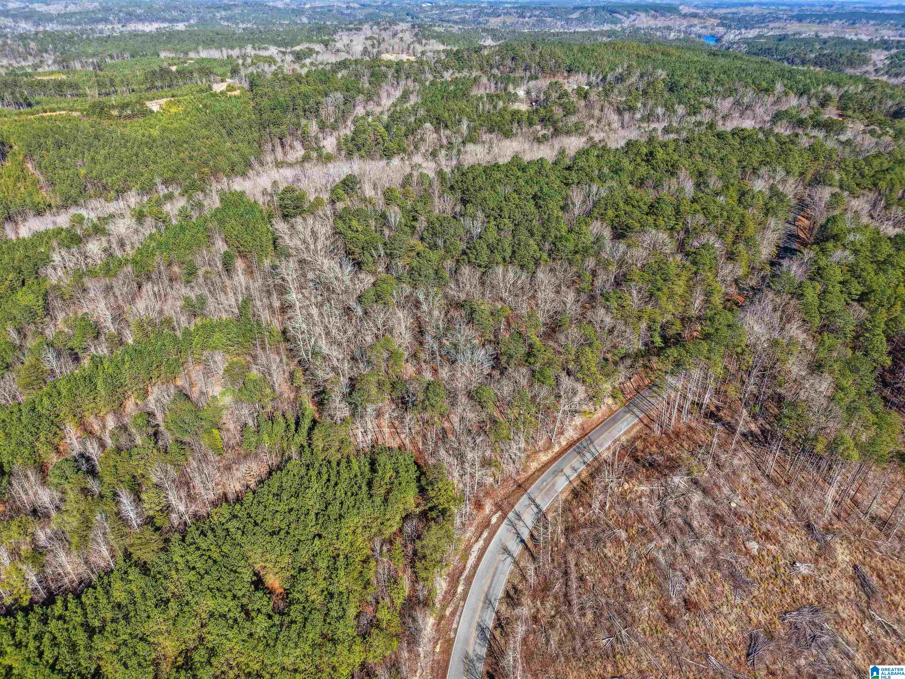 Homes for sale in Adger, AL | 15065 Lock 17 Road, Adger, AL 35006 | MLS# 21439571