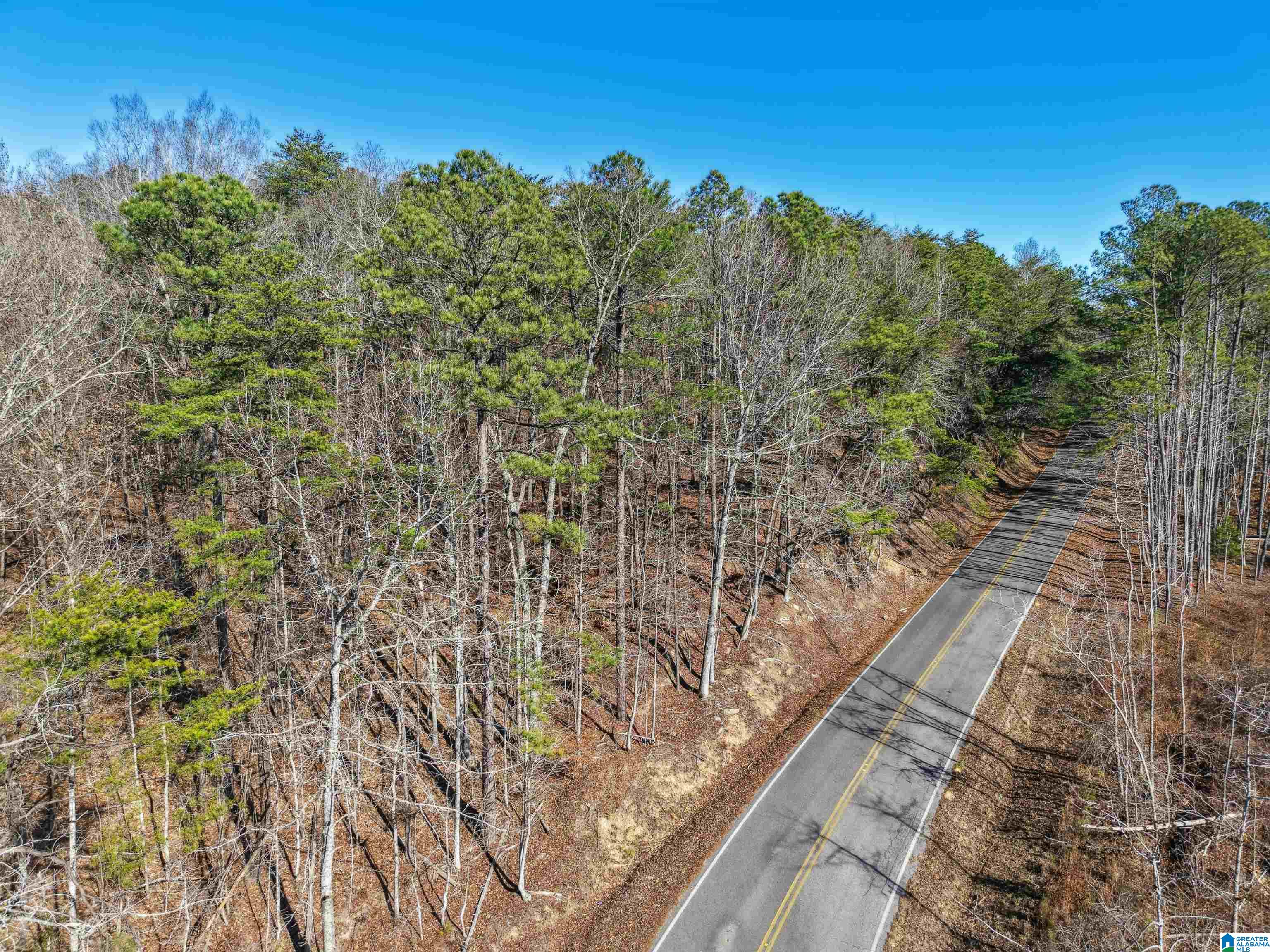 Homes for sale in Adger, AL | 15065 Lock 17 Road, Adger, AL 35006 | MLS# 21439571