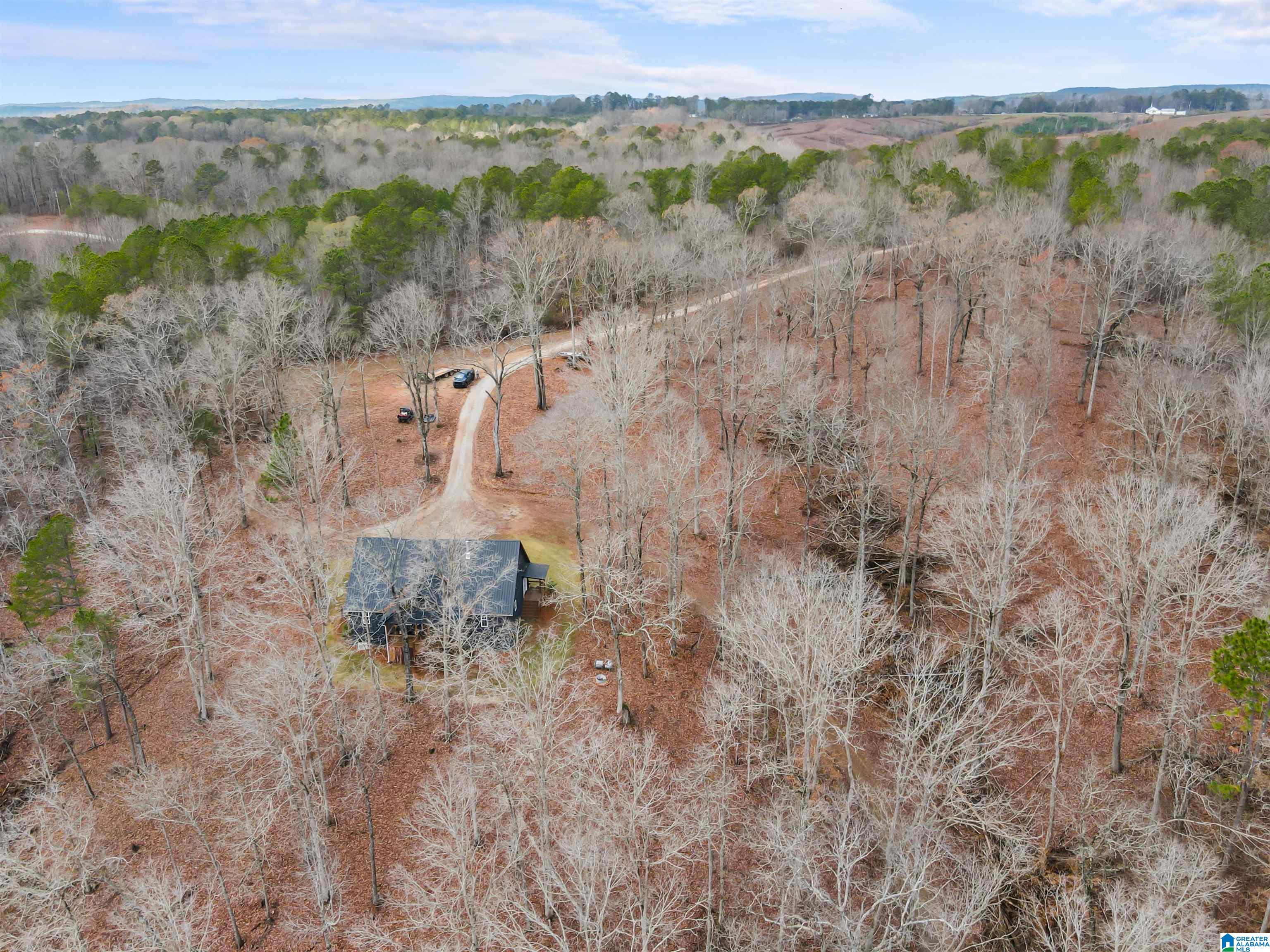 Homes for sale in Newell, AL | 463 Wildberry Lane, Newell, AL 36280 | MLS# 21439572