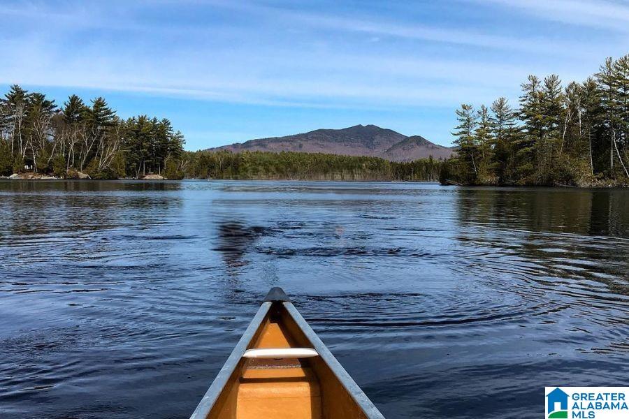 Homes for sale in Cordova, AL | 400 Rivers Edge Trail, Cordova, AL 35550 | MLS# 21439595