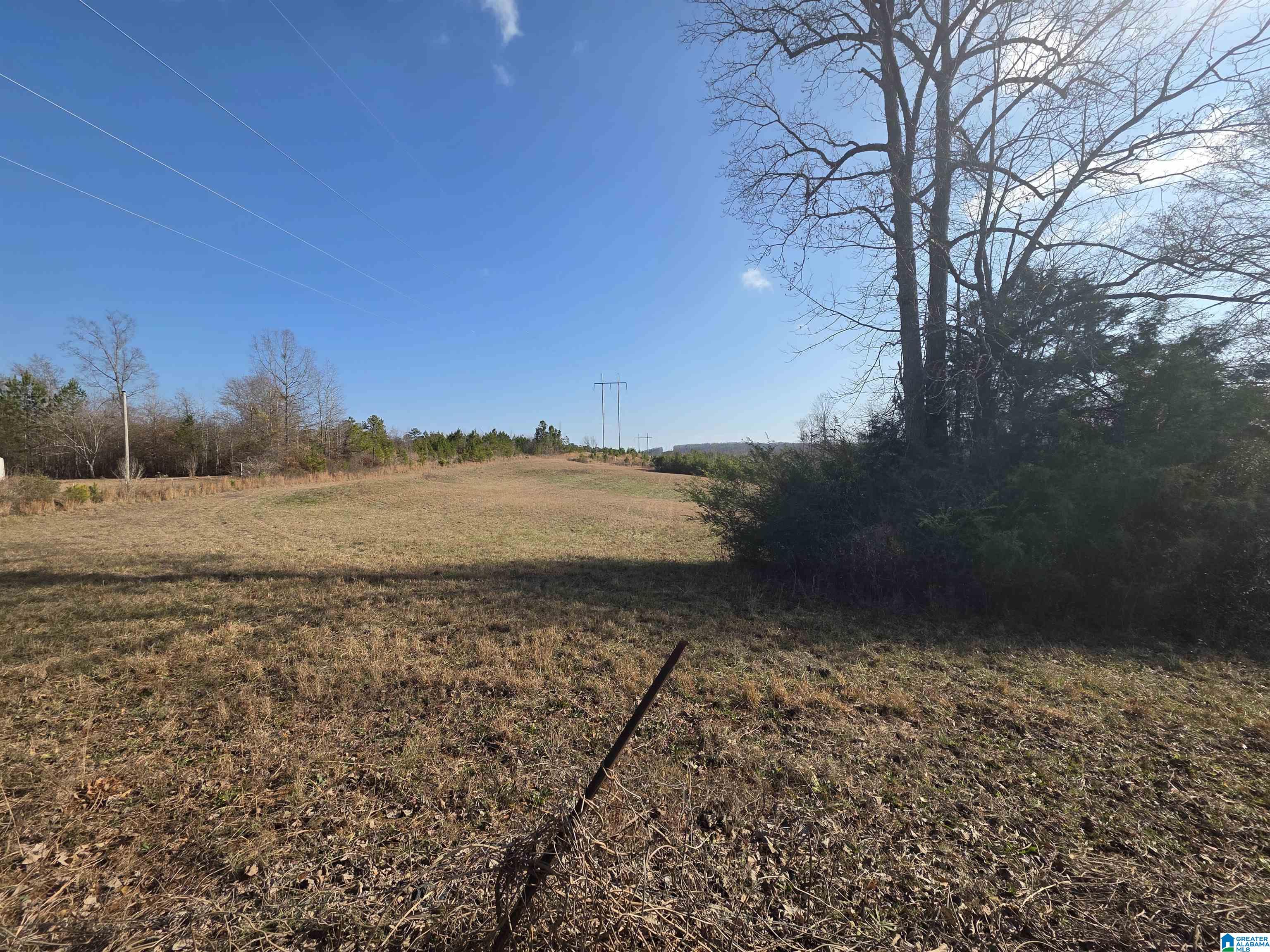 Homes for sale in Lineville, AL | 0 County Road 281, Lineville, AL 36266 | MLS# 21439613