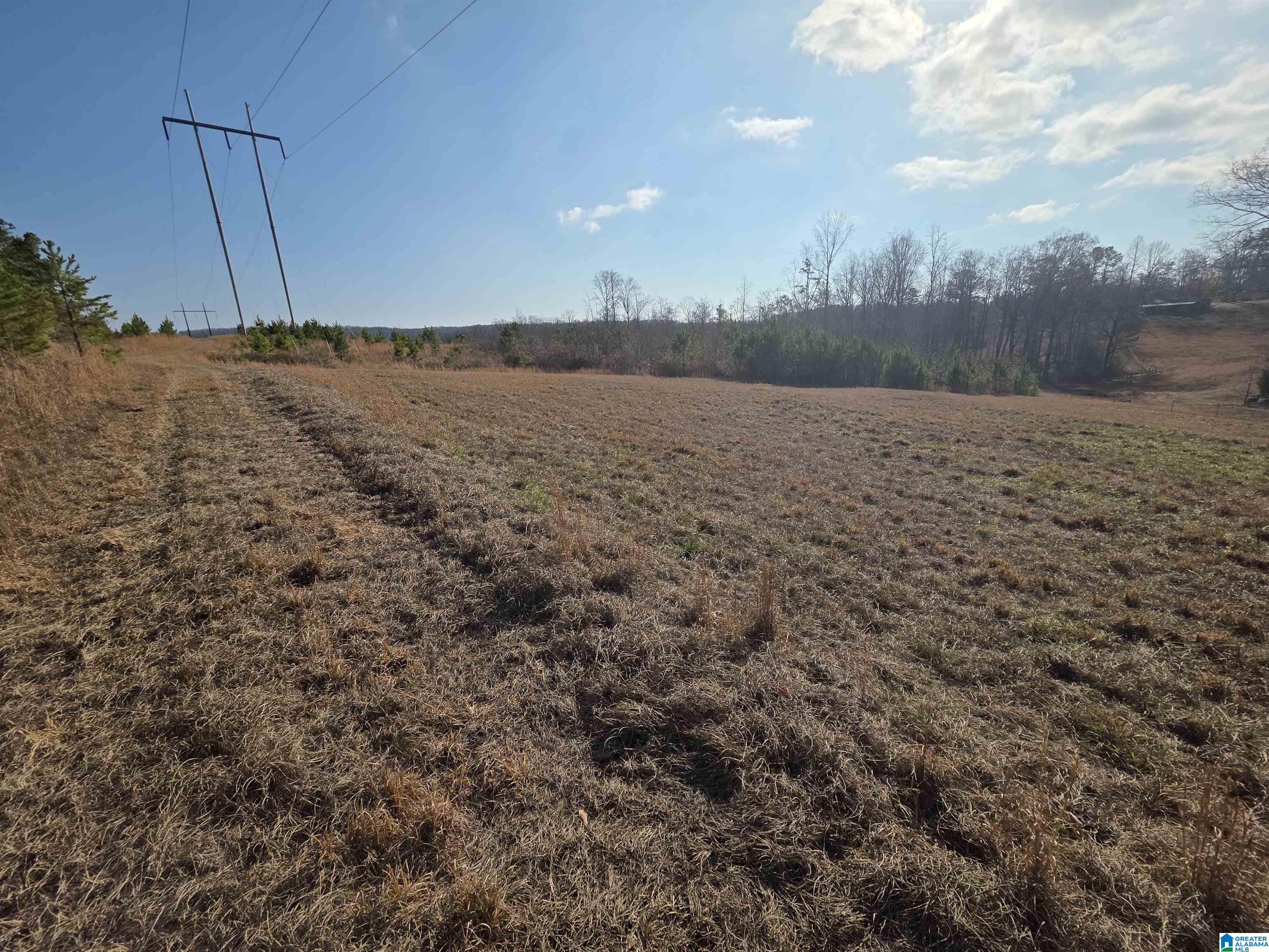 Homes for sale in Lineville, AL | 0 County Road 281, Lineville, AL 36266 | MLS# 21439613