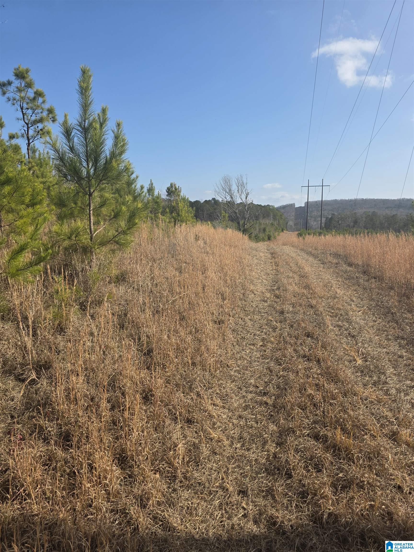 Homes for sale in Lineville, AL | 0 County Road 281, Lineville, AL 36266 | MLS# 21439613