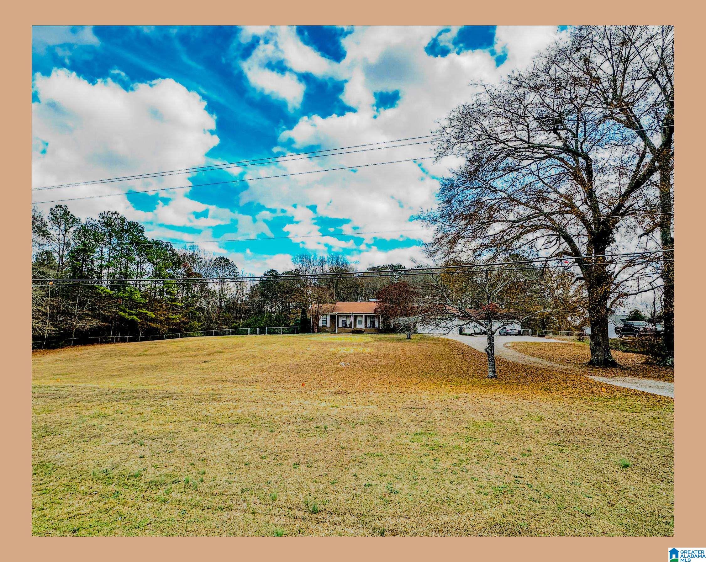 Homes for sale in Cropwell, AL | 3014 Martin Street S, Cropwell, AL 35054 | MLS# 21439650