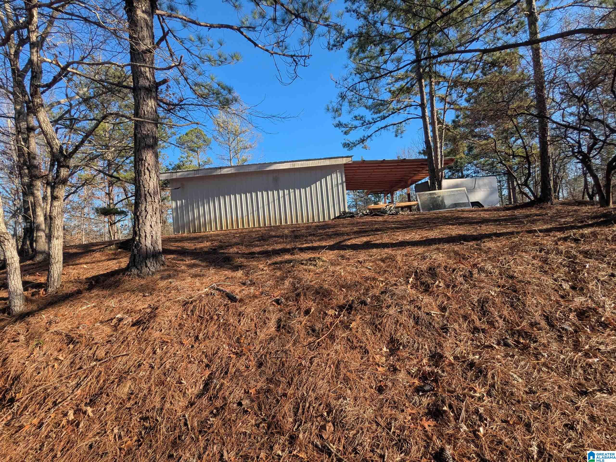 Homes for sale in Sycamore, AL | 3008 Rocky Mount Church Road, Sycamore, AL 35149 | MLS# 21439669