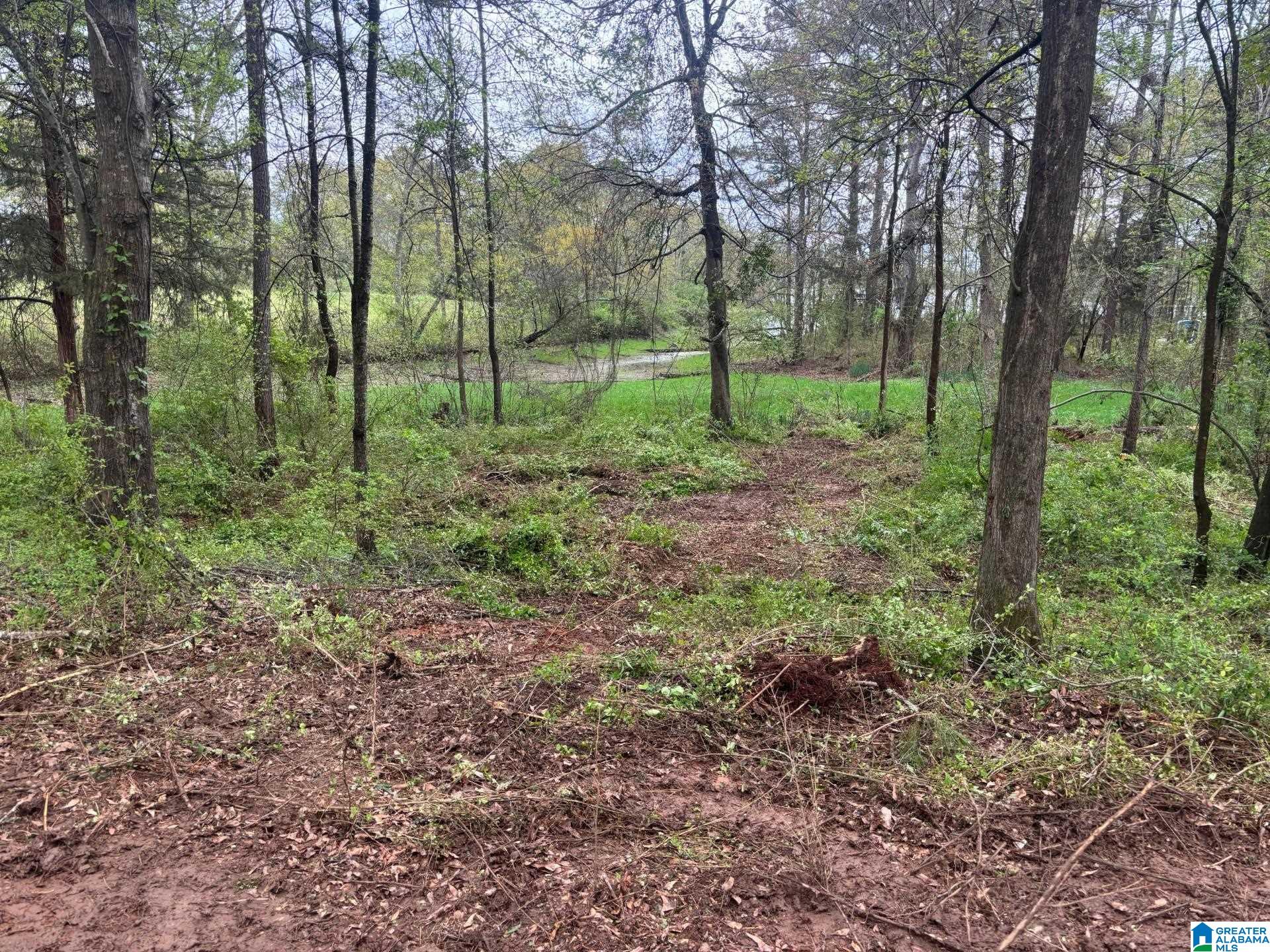 Homes for sale in Pell City, AL | 2318 Annesley Dr, Pell City, AL 35128 | MLS# 21439675