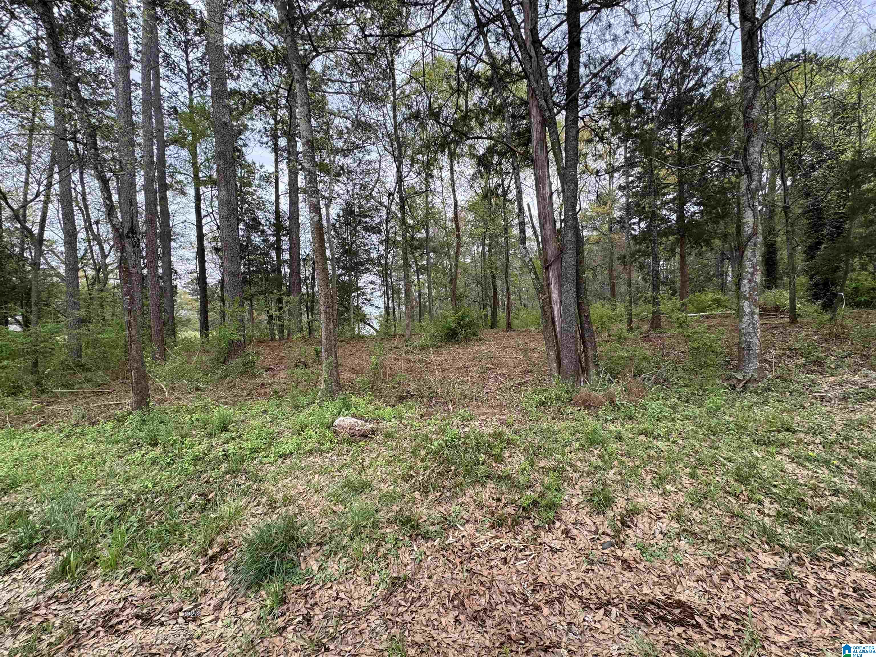 Homes for sale in Pell City, AL | 2318 Annesley Dr, Pell City, AL 35128 | MLS# 21439675