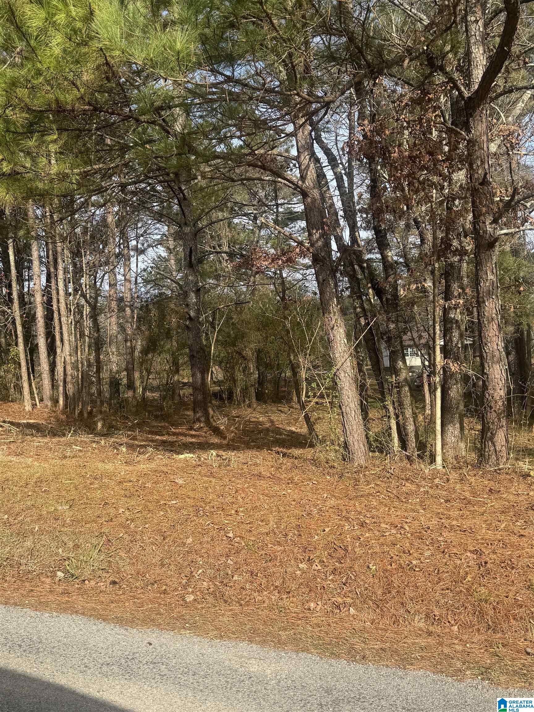 Homes for sale in Warrior, AL | 619 Skyview Lake Road, Warrior, AL 35180 | MLS# 21439696