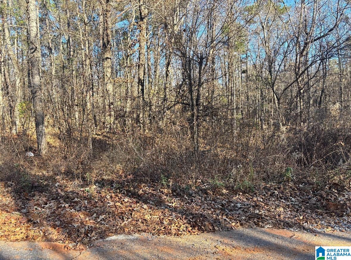 Homes for sale in Wilsonville, AL | 449 Davis Street, Wilsonville, AL 35186 | MLS# 21439789