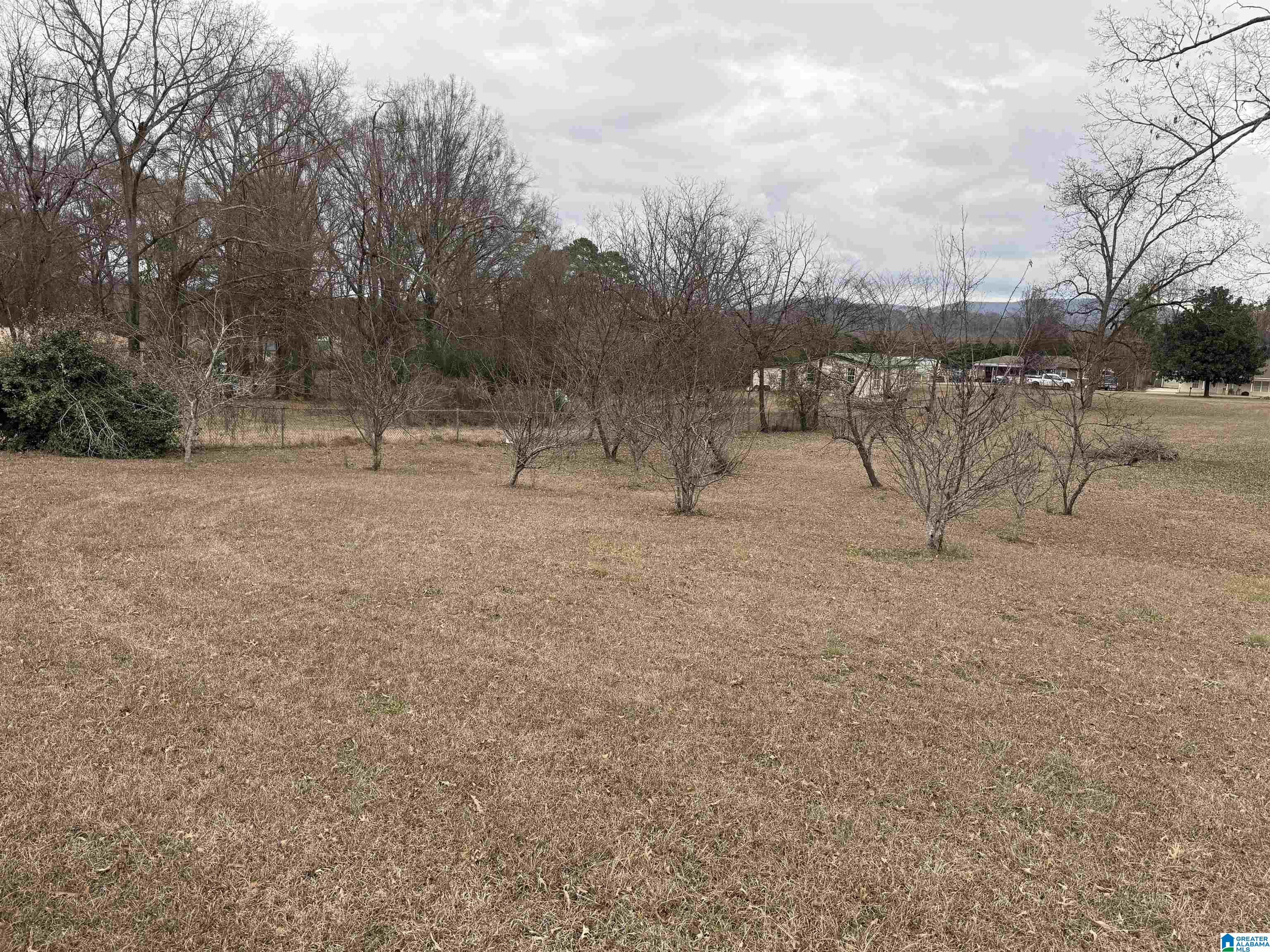 Homes for sale in Eastaboga, AL | 837 Beck Road, Eastaboga, AL 36260 | MLS# 21439825