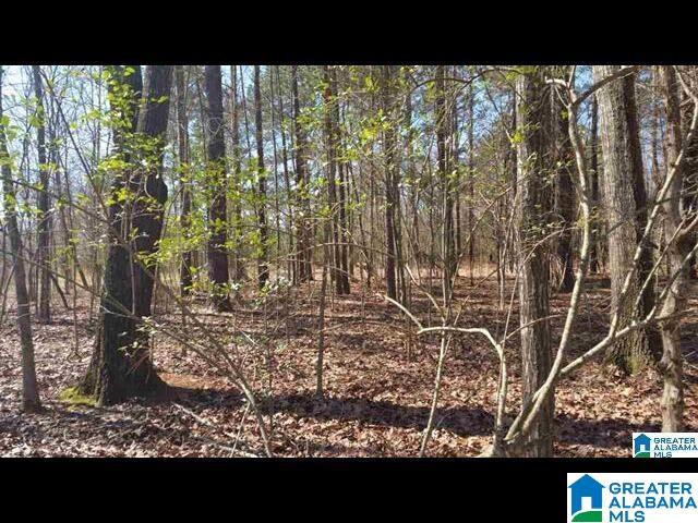 Homes for sale in Talladega, AL | 0 Morning Glory Circle, Talladega, AL 35160 | MLS# 21439862