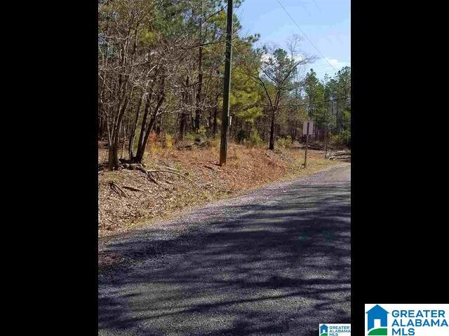 Homes for sale in Talladega, AL | 0 Morning Glory Circle, Talladega, AL 35160 | MLS# 21439862