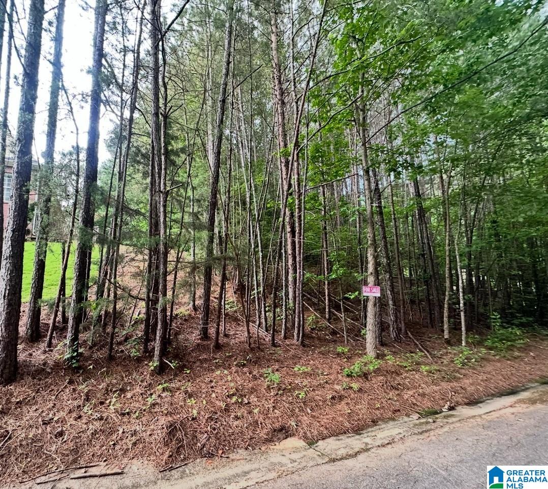 Homes for sale in Pinson, AL | 5709 Bent Creek Dr, Pinson, AL 35126 | MLS# 21439907