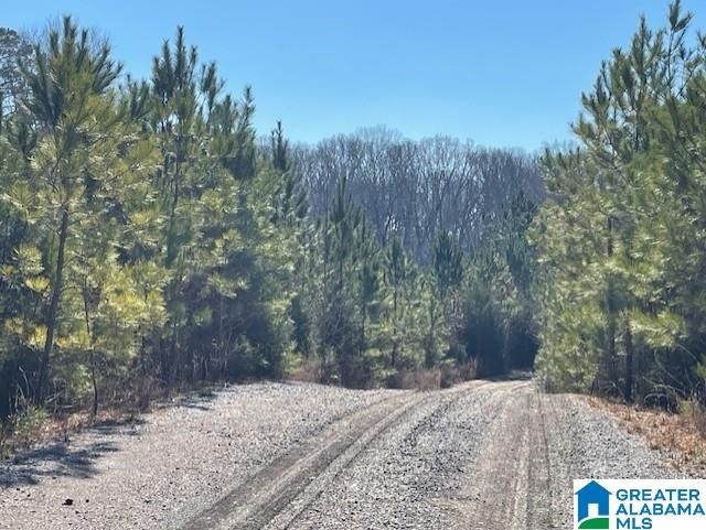 Homes for sale in Woodstock, AL | Sansing Circle, Woodstock, AL 35188 | MLS# 21439911