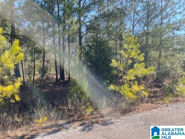 Homes for sale in Woodstock, AL | Sansing Circle, Woodstock, AL 35188 | MLS# 21439911