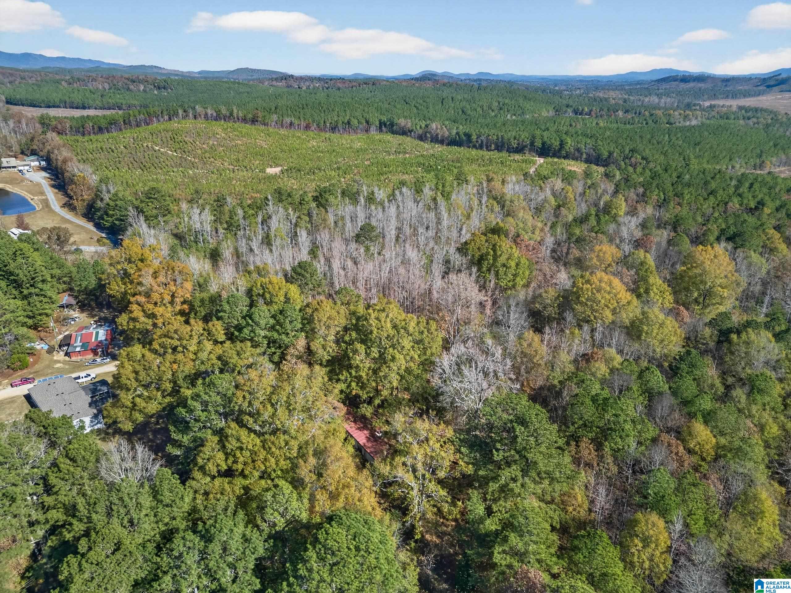 Homes for sale in Piedmont, AL | 206 Pruitt Road, Piedmont, AL 36272 | MLS# 21439929