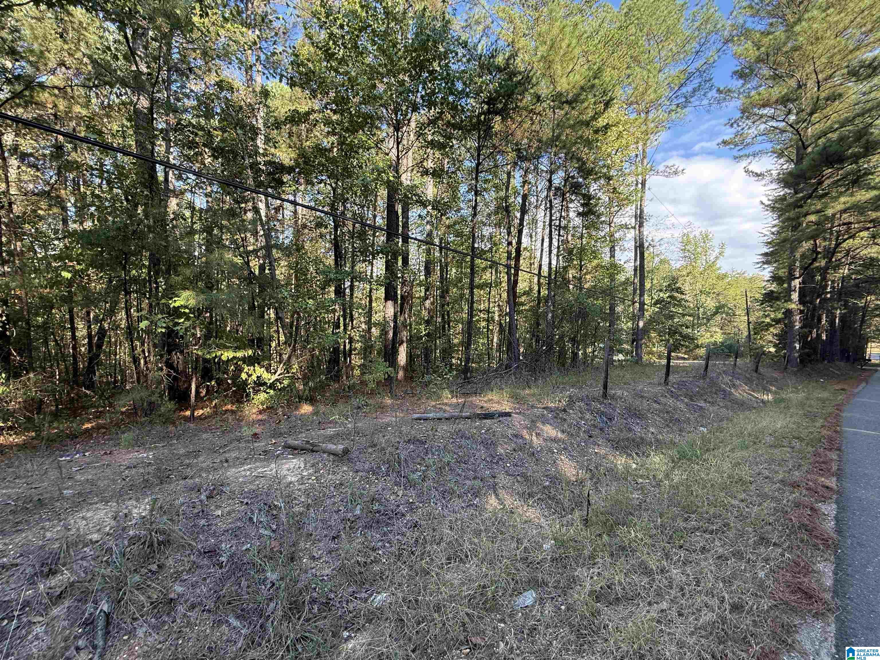 Homes for sale in Brookwood, AL | 17566 Prudes Creek Road, Brookwood, AL 35444 | MLS# 21439945