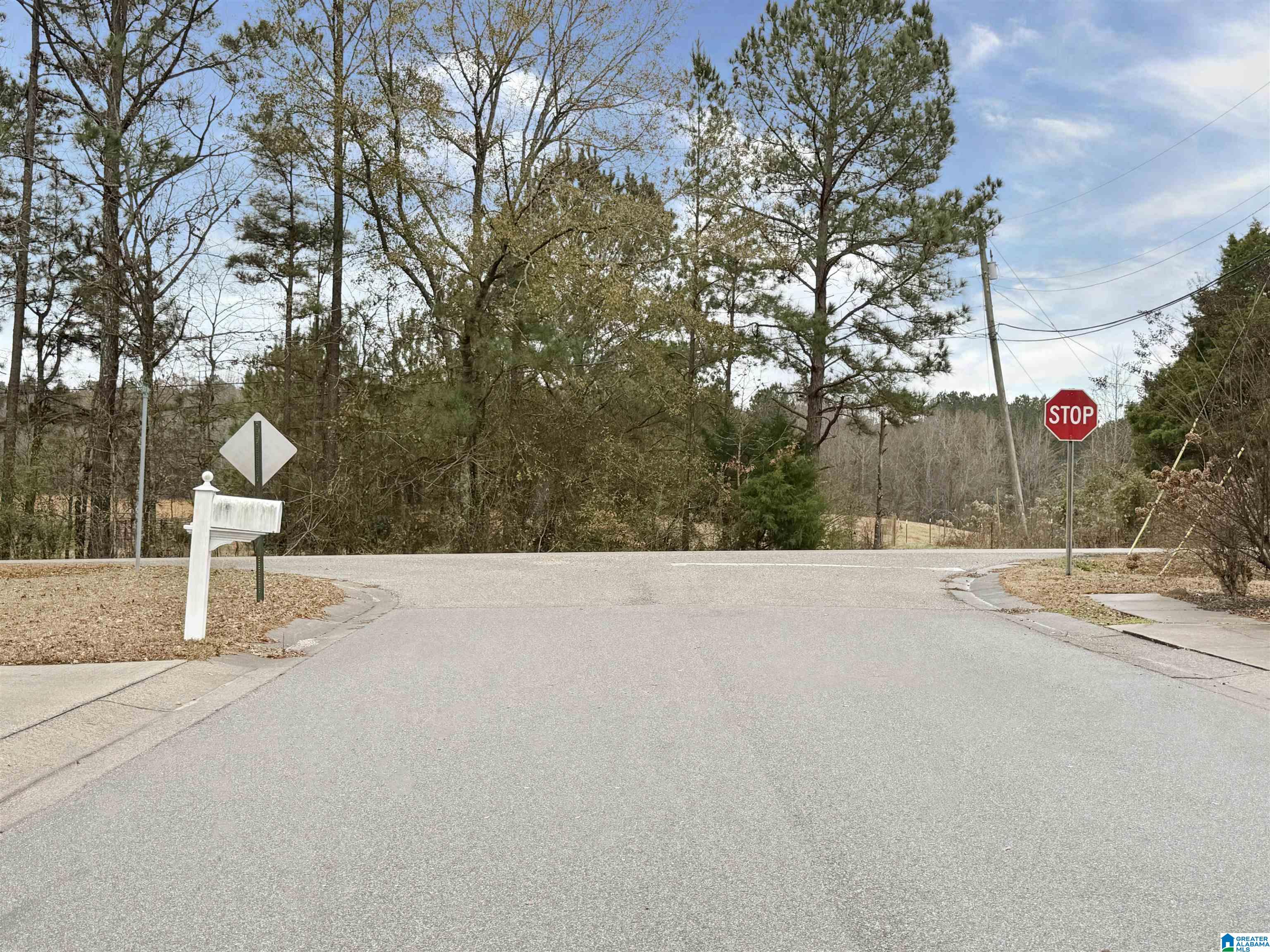 Homes for sale in Vincent, AL | 101 Thatcher Road, Vincent, AL 35178 | MLS# 21439950