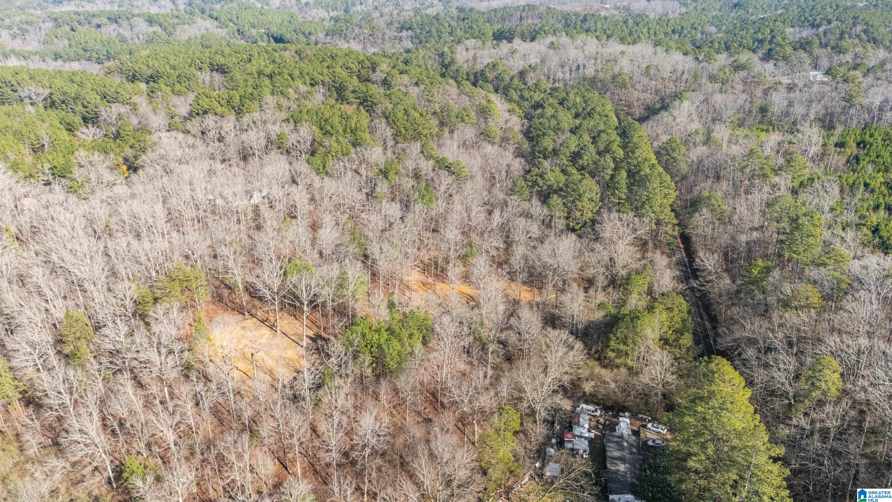 Homes for sale in Morris, AL | 7019 Groundhog Road, Morris, AL 35116 | MLS# 21439962