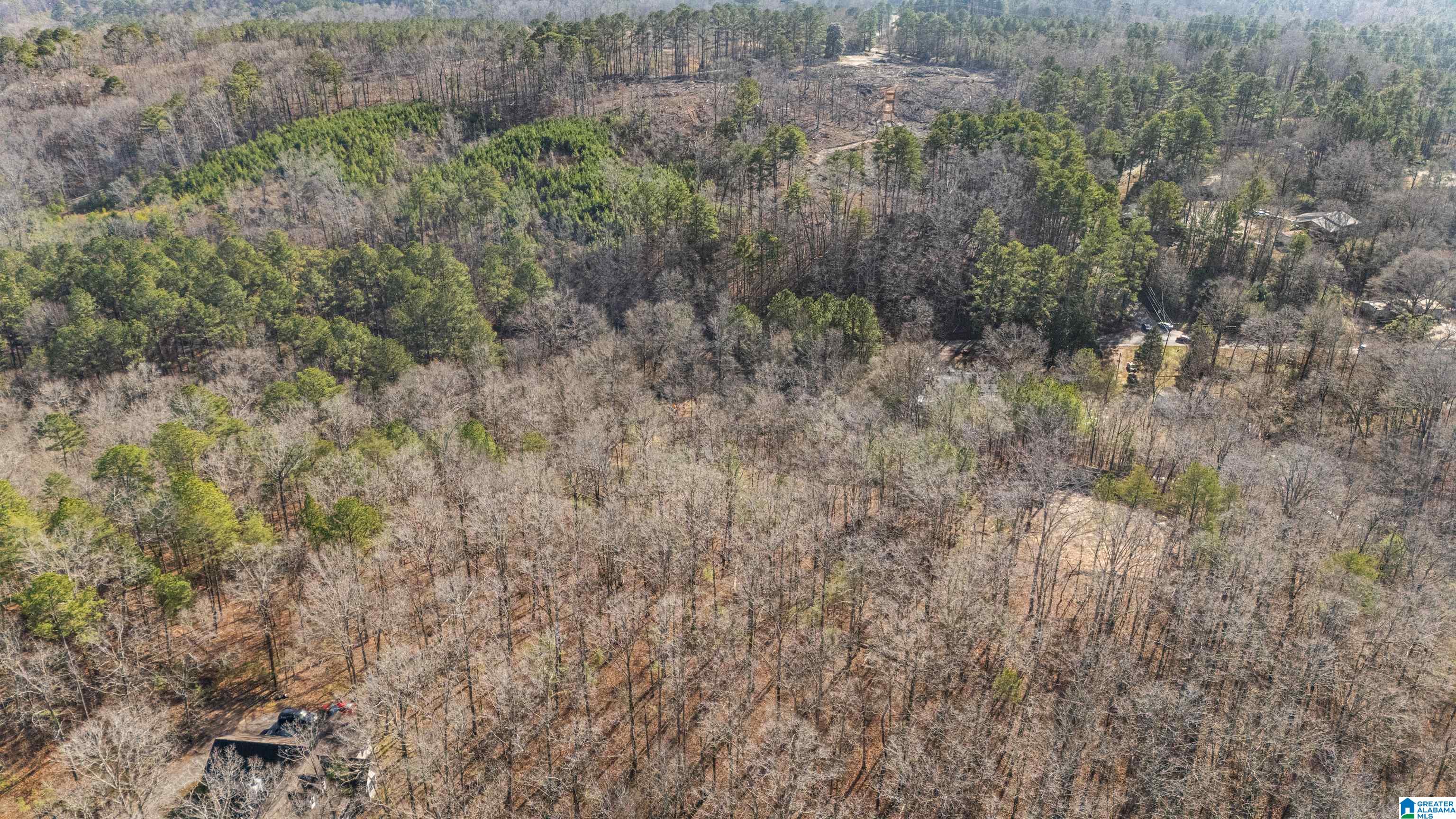 Homes for sale in Morris, AL | 7019 Groundhog Road, Morris, AL 35116 | MLS# 21439962