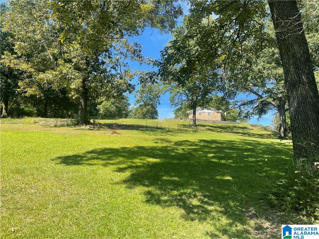 Homes for sale in Coker, AL | 13646 Crystal Lake Dr, Coker, AL 35452 | MLS# 21440029