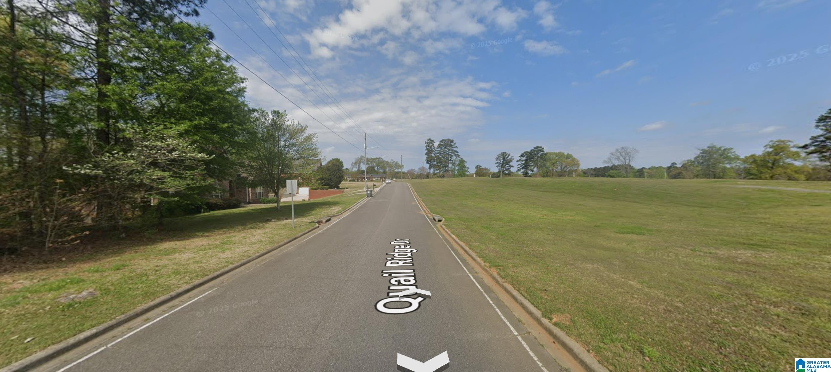 Homes for sale in Gardendale, AL | 1623 Quail Ridge Dr, Gardendale, AL 35071 | MLS# 21440042