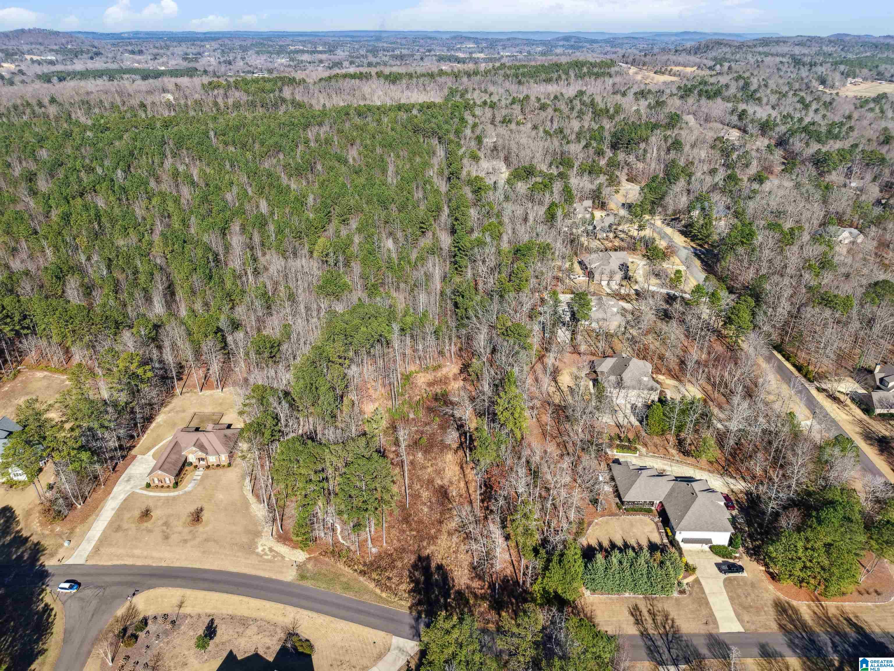 Homes for sale in Odenville, AL | 100 Grace Way, Odenville, AL 35120 | MLS# 21440055