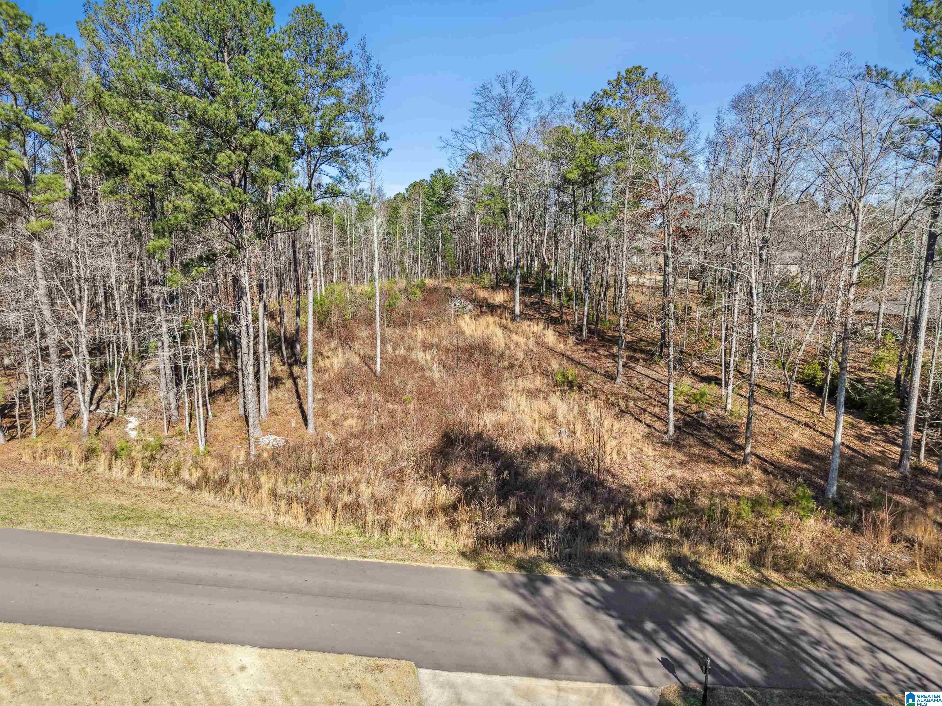 Homes for sale in Odenville, AL | 100 Grace Way, Odenville, AL 35120 | MLS# 21440055