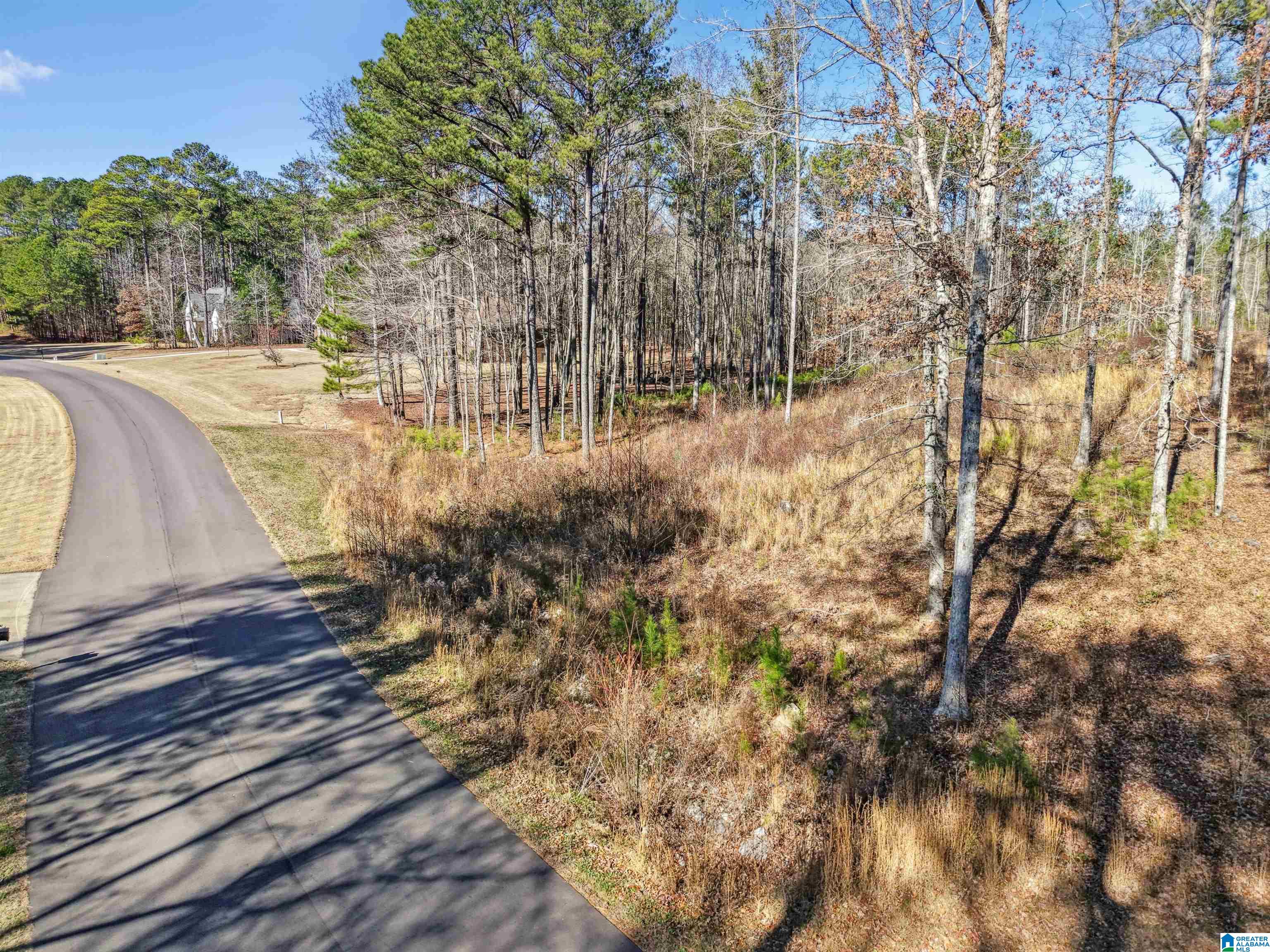 Homes for sale in Odenville, AL | 100 Grace Way, Odenville, AL 35120 | MLS# 21440055